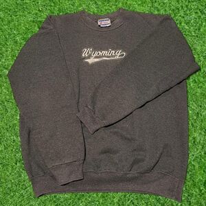 Vintage Hanes Wyoming Embroidered Crewneck Sweatshirt 90's Retro Pullover (M/L)